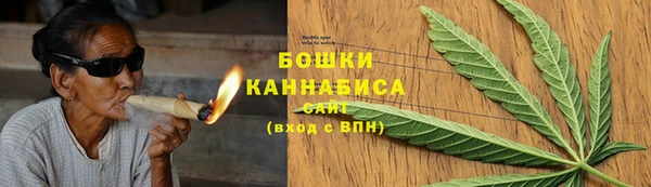 ПСИЛОЦИБИНОВЫЕ ГРИБЫ Аркадак