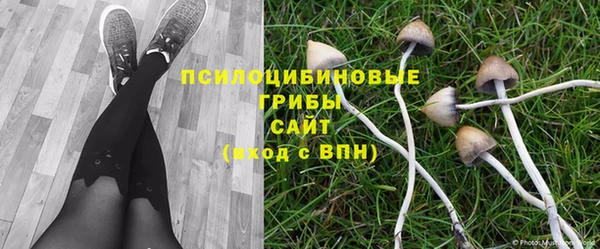 трава Армянск