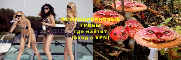 ПСИЛОЦИБИНОВЫЕ ГРИБЫ Аркадак
