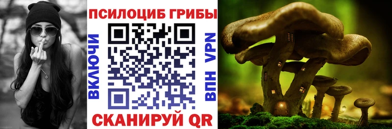 Псилоцибиновые грибы MAGIC MUSHROOMS  Приволжск 